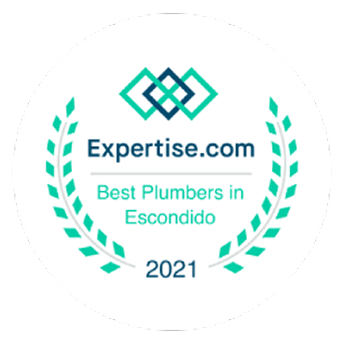 Expertise 2021